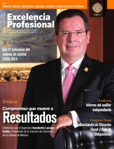 Clic en imagen para consultar revista Excelencia Profesional de forma íntegra.