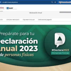 2024-03-04_declaracion_anual_personas_fisicas_acceso_pagina_sat_1