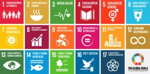 Global goals
