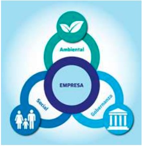 marco conceptual nis