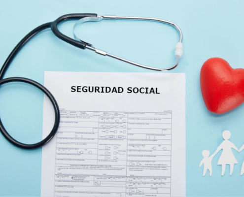 seguridad social