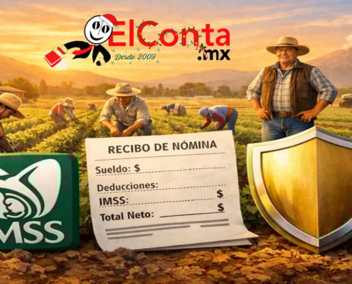 beneficios imss campo 2026