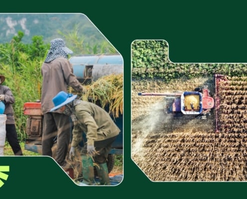 tajada sector primario blog