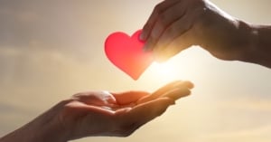 donatarias autorizadas blog