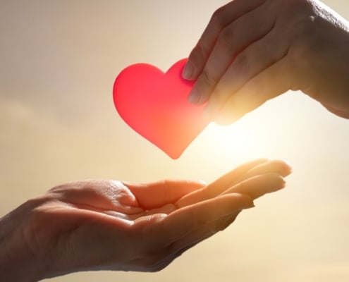 donatarias autorizadas blog