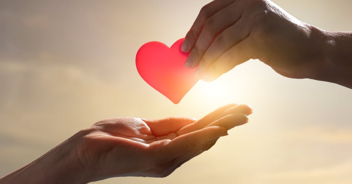 donatarias autorizadas blog