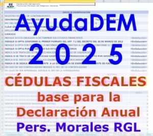 ayudadem 2025 350