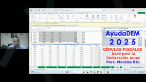 guia uso ayudadem2025