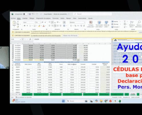 guia uso ayudadem2025