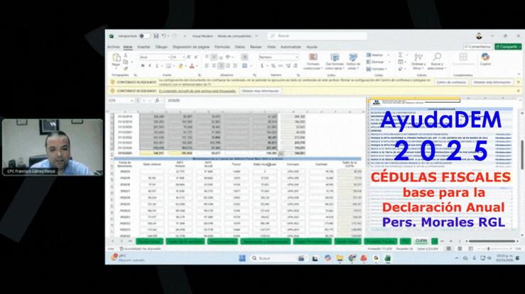 guia uso ayudadem2025