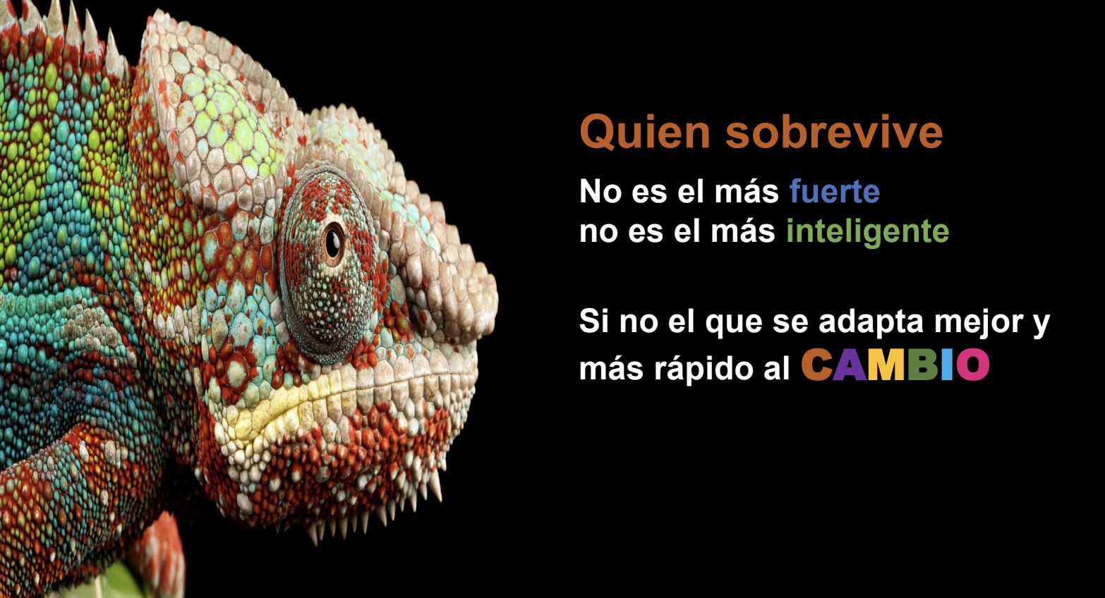 Captura de pantalla 2026 07 16 a las 10.00.27 p.m