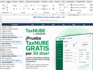taxnube excel