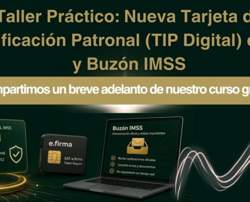 nip digital imss
