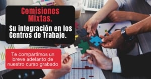 Comisiones Mixtas. redes